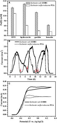 Transcriptomic, Proteomic, and Bioelectrochemical Characterization of an Exoelectrogen Geobacter soli Grown With Different Electron Acceptors